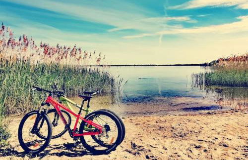 Zauberwagen am Geiseltalsee - Foto 17