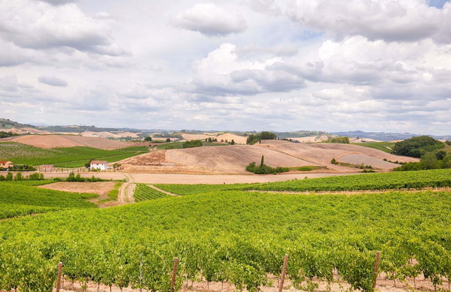 Spacious Tuscany Retreat - Foto 40