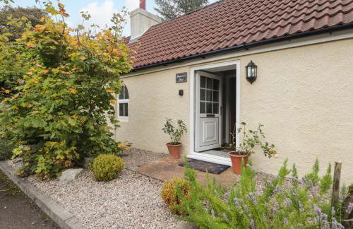 Gingerbread House - Foto 3