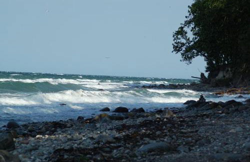 Ferienbauernhof Liesenberg Meerblickhaus Strandmuschel - Foto 42