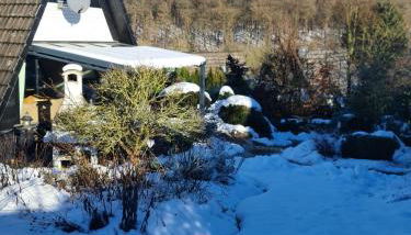 Haus Rosengarten mit Sauna - Foto 2, Garden