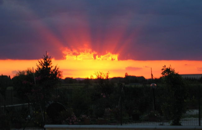 Tenuta del Perugino - Foto 71