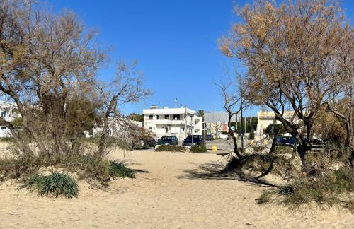 Front Beach Apartments Rose Superiore - Foto 5