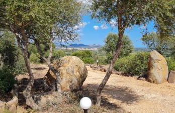 Country villa Sant' Elène - Appartamento Olivo - Foto 14