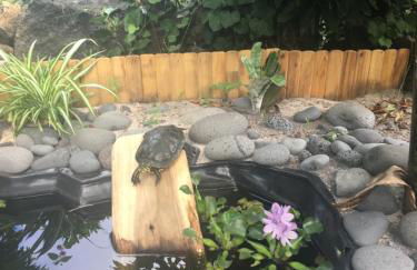 Quinta das Almas - Photo 26