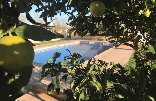 Casa rural "La Pageseta" - Foto 10