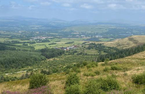 Herbert Place - Foto 36