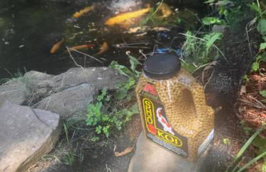 Modern Farmhouse Decor With Washer & Dryer - Foto 29