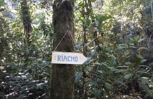 Tao da Serra - cabana em meio à natureza! - Foto 43