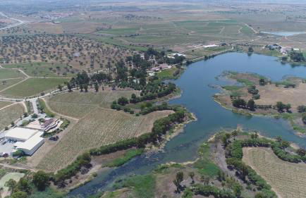 Herdade dos Grous - Foto 6