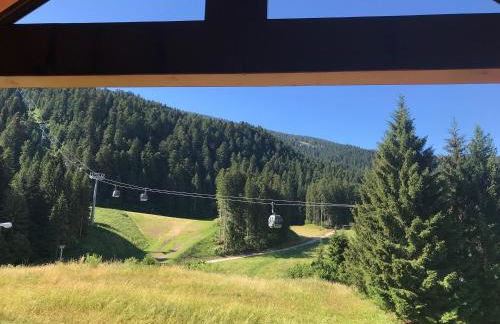 Appartamenti Rì de la Clama Andalo, Barbara - Foto 21