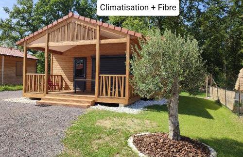 Lac du Der Chalet neuf tout confort - Foto 1