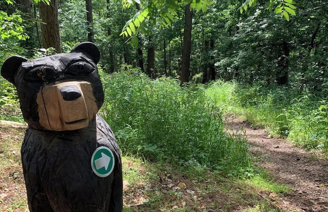 Loblolly Pines Adventure Camp - Foto 11