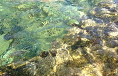 A Due Passi Dal Mare - Foto 48