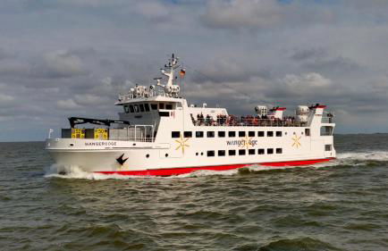 Hund im Glück - Foto 29