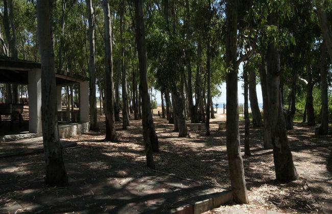 Villa Lola - Foto 11