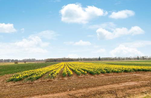 The Garden Pod - Photo 17