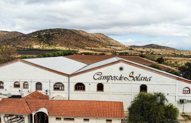 Tour por las bodegas del valle de la Concepción - Foto 3