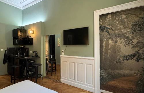 Studio de charme rénové en centre-ville, animaux admis - FR-1-555-123 - Foto 8