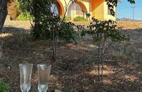 Villa Jolies - Foto 5