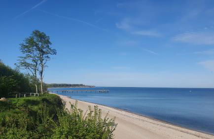 Lieblingsplatz - Traumhafte Wohnung mit Sauna - 200m vom Strand - Foto 8