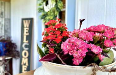 Couples Cottage - Serene Getaway - Foto 58