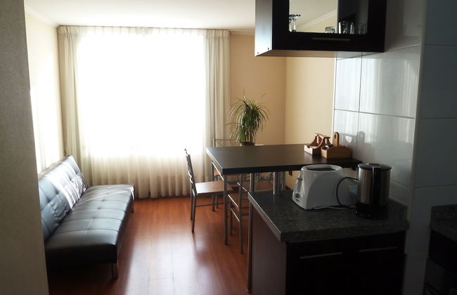 Personal Aparts Bellas Artes - Foto 20