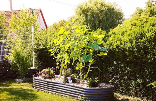 Ferienhaus Magasch - Foto 62