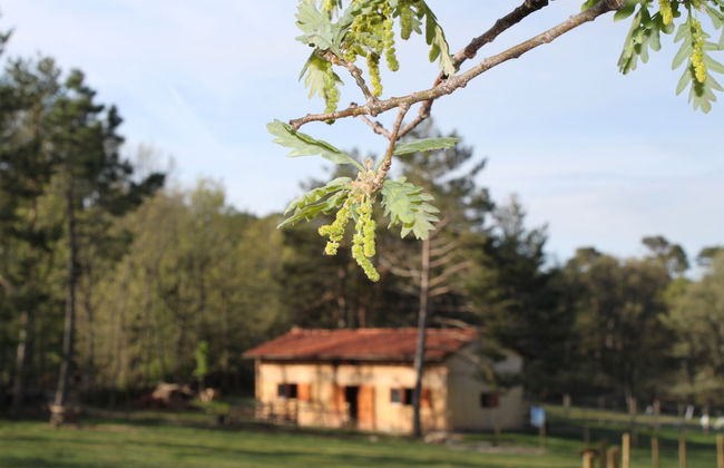 Eco Urbión - Foto 67