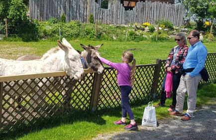 Ferienappartements mit Herz - Foto 23