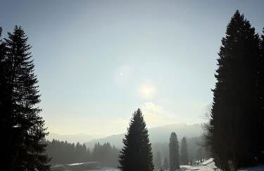 Mitten auf dem Feldberg Panorama Apartment Bergglück - Foto 34
