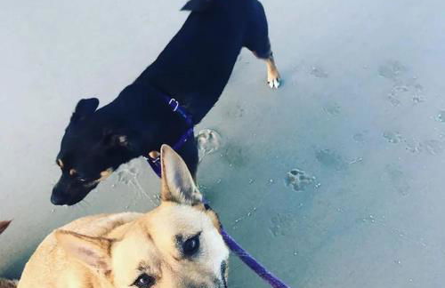 Vitamin Sea - Foto 16