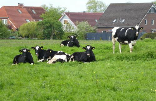 Ferienwohnung Nordlicht - Foto 17