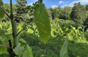 Woodland House 1 - Foto 21