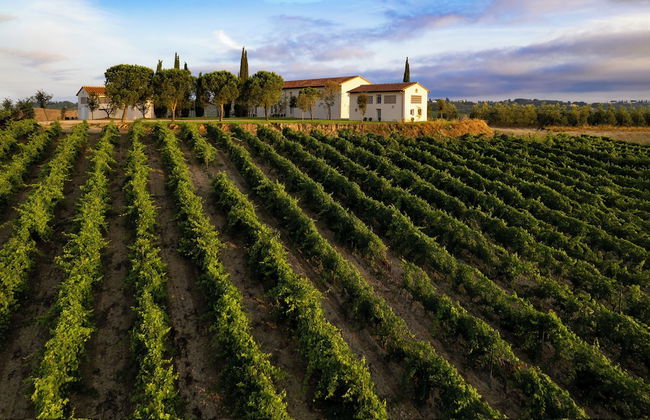 Colle Alberti Country House - Foto 68