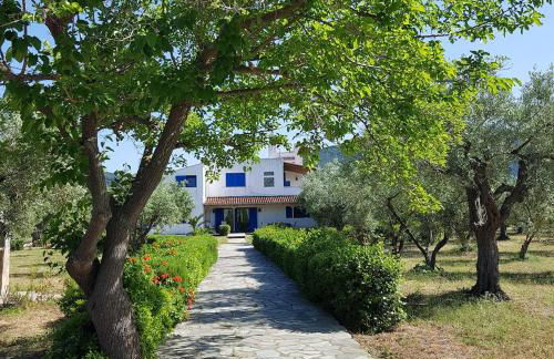 Beachfront cottage house in olive grove - Foto 13