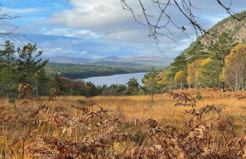 The Highlander - Foto 12