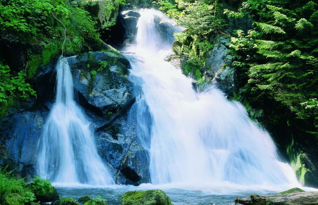 Forest Family Stay, Triberg - Foto 17