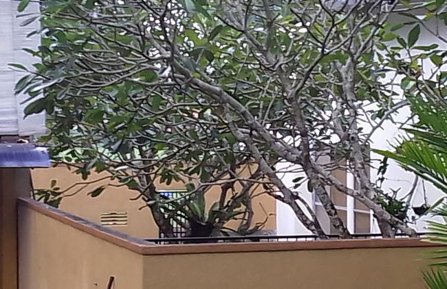 Lakeside Hybrid Villa - Foto 1