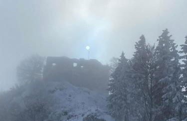 Ferienwohnung Falkensteinblick - Photo 17