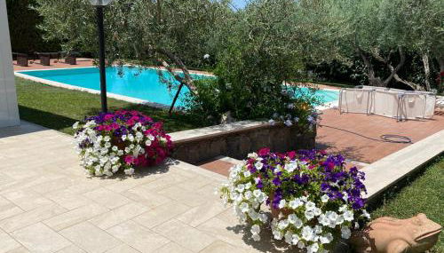 Visit Rome from a quiet place Frascati - Foto 5