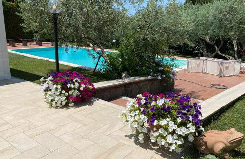 Visit Rome from a quiet place Frascati - Foto 5