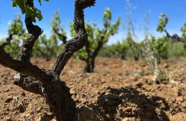 Villa Los Primos - Foto 68