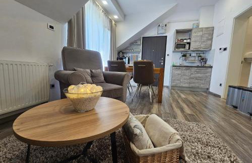 Villa Agram - Foto 69