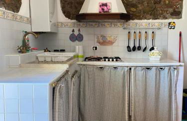 Agribike Agriturismo Poggio Rossino - Foto 23