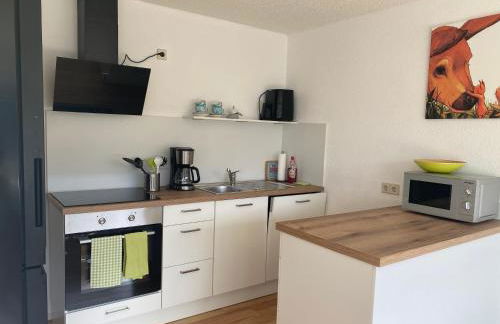 Hochschwarzwald Ferienwohnung - Foto 7