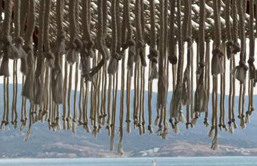 NEPTUNE OASIS Villa - Foto 38