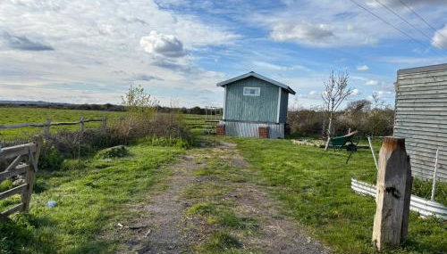 Swedish Rustic Cabin perfect for bird watching - Photo 3