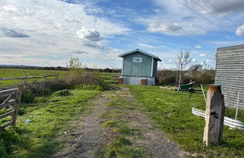 Swedish Rustic Cabin perfect for bird watching - Foto 3