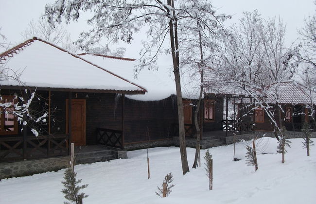 Kish Adasi - Kish Island - Foto 28